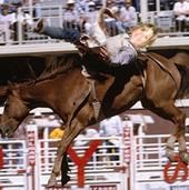 Kelly Mcmahon