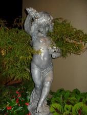 Debbie Monaco