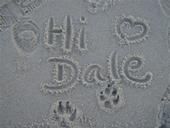 Dale Mcclure