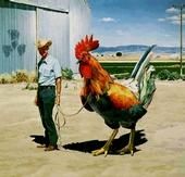 Jeffrey Longstreet