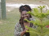 Asiaverkia Wright