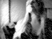 Cindy Stulens