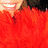 Maria Beslin