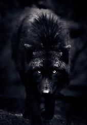 Scott Marin