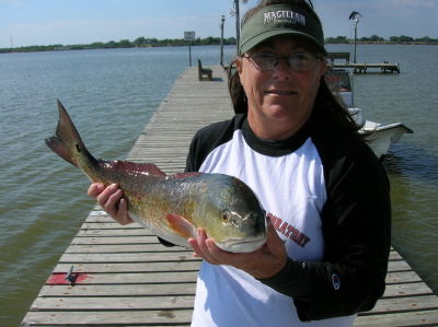 Pam Stewart