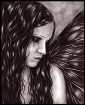 Donna Waltz