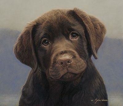 Rebecca Dunham
