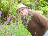 Gayle Haining