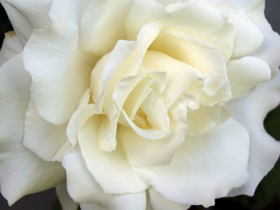 Debra Clyde