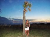 Dawn Koers