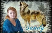 Sandy Murrill