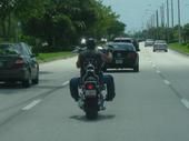 Duke Beemer