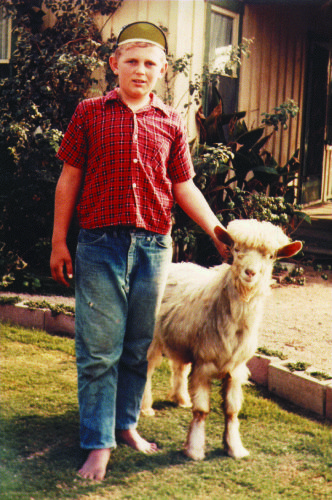 Peter Raap