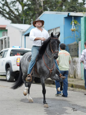 Luis Guerra