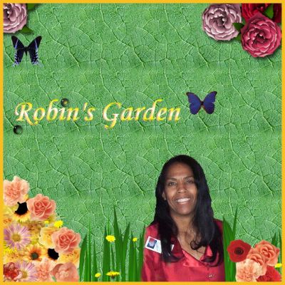 Robin Price