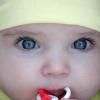 Dawan Muhammad