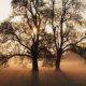 Jennifer Reisinger