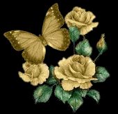 Rosa Bendana