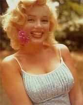 Lori Brainerd