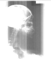 Robert Lucas