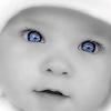 Brijesh Patel