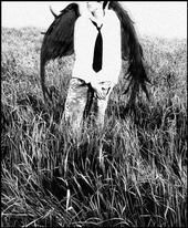 Brad Albert