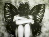 Lynn Johnson