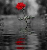 Leslie Rempfer