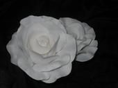Rose Warwas