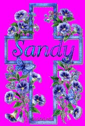 Sandra Fuller