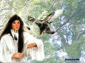 Donna Sutphin