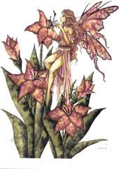 Robin Feehan
