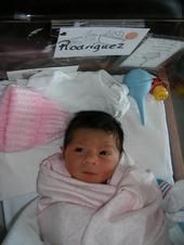Andres Alfonso