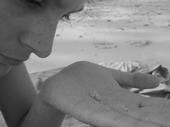 Leesa Alford