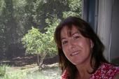 Tracy Ardito