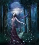 Donna Schilare