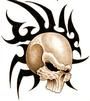 Steven Sneyd
