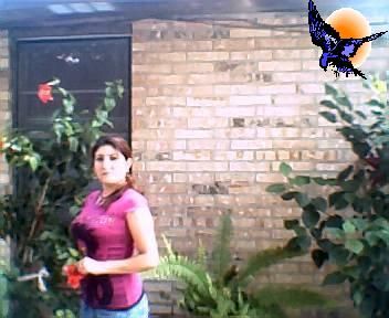 Marisela Camarillo