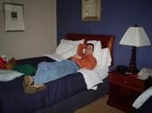 Darrell Dehart
