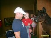 Travis Diedrich