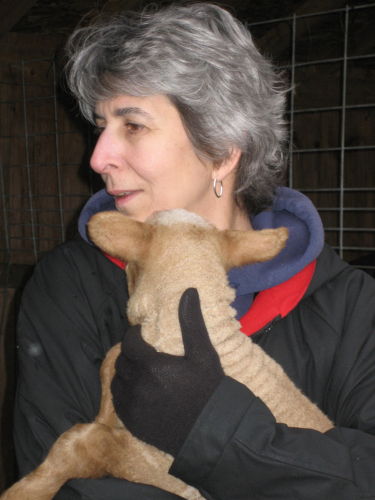 Catherine Erickson