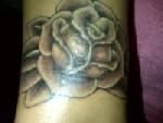 Coreena Linares