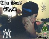 Steve Bastos