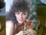 Cheryl Aloi