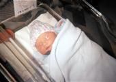 Timothy Poplin