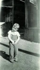 Donald Wolfe