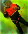 Brandon Brandon
