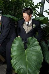 Sung Kwon