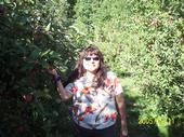 Sandra Noyes