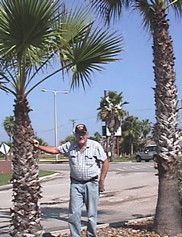 Steven Effinger